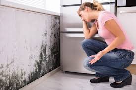 Marshfield, MO Mold Remediation Company